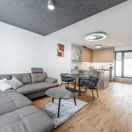 Timonova 4 Apartment
